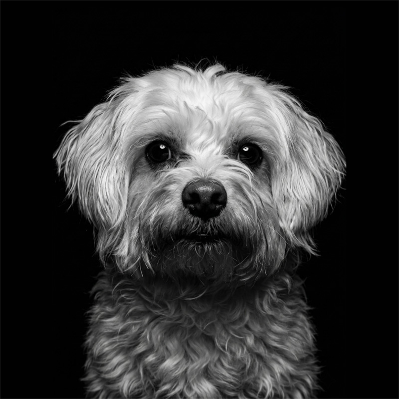 Wotan, Chief Vibe Officer bei fempower.me